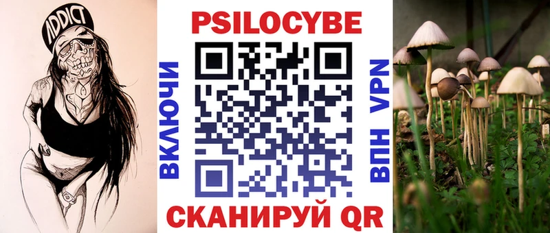 сколько стоит  кракен рабочий сайт  Псилоцибиновые грибы Cubensis  Электросталь 